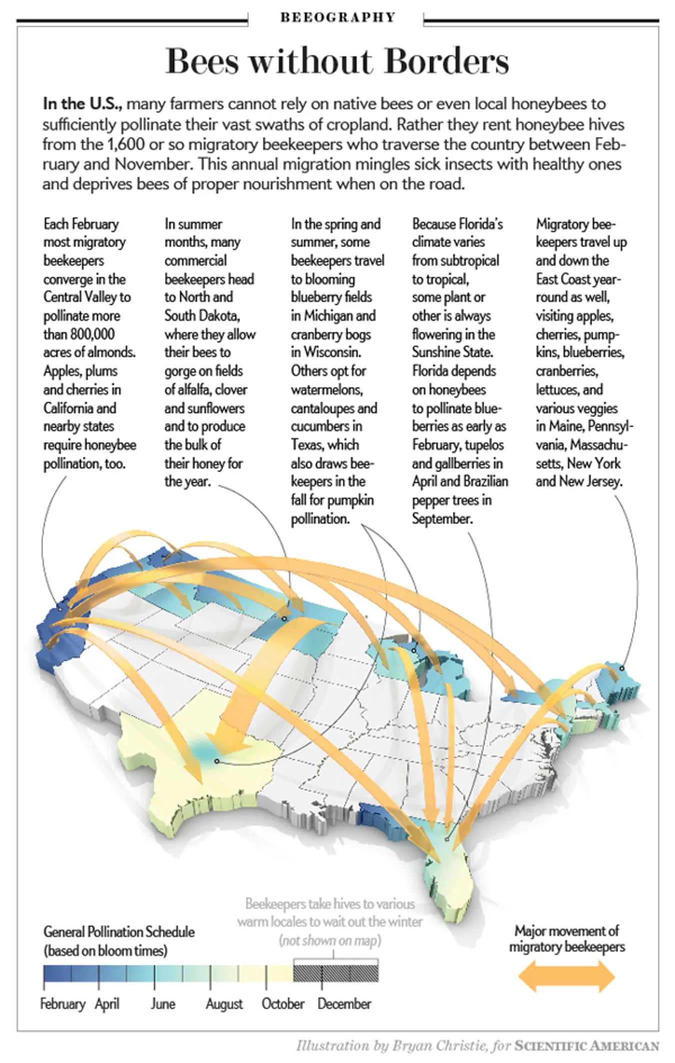 diagram of commercial migratory beekeeping movements across the United States based on season