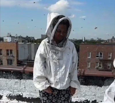 A gif of me in a beesuit smiling surrounded by a cloud of bees