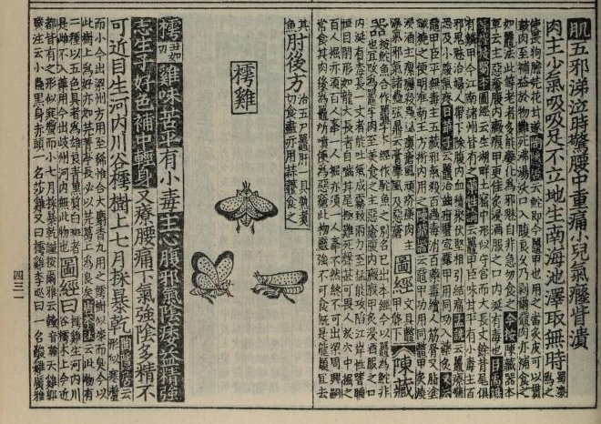 A page from the Chinese Materia Medica showing an illustration of the Crimson Lady