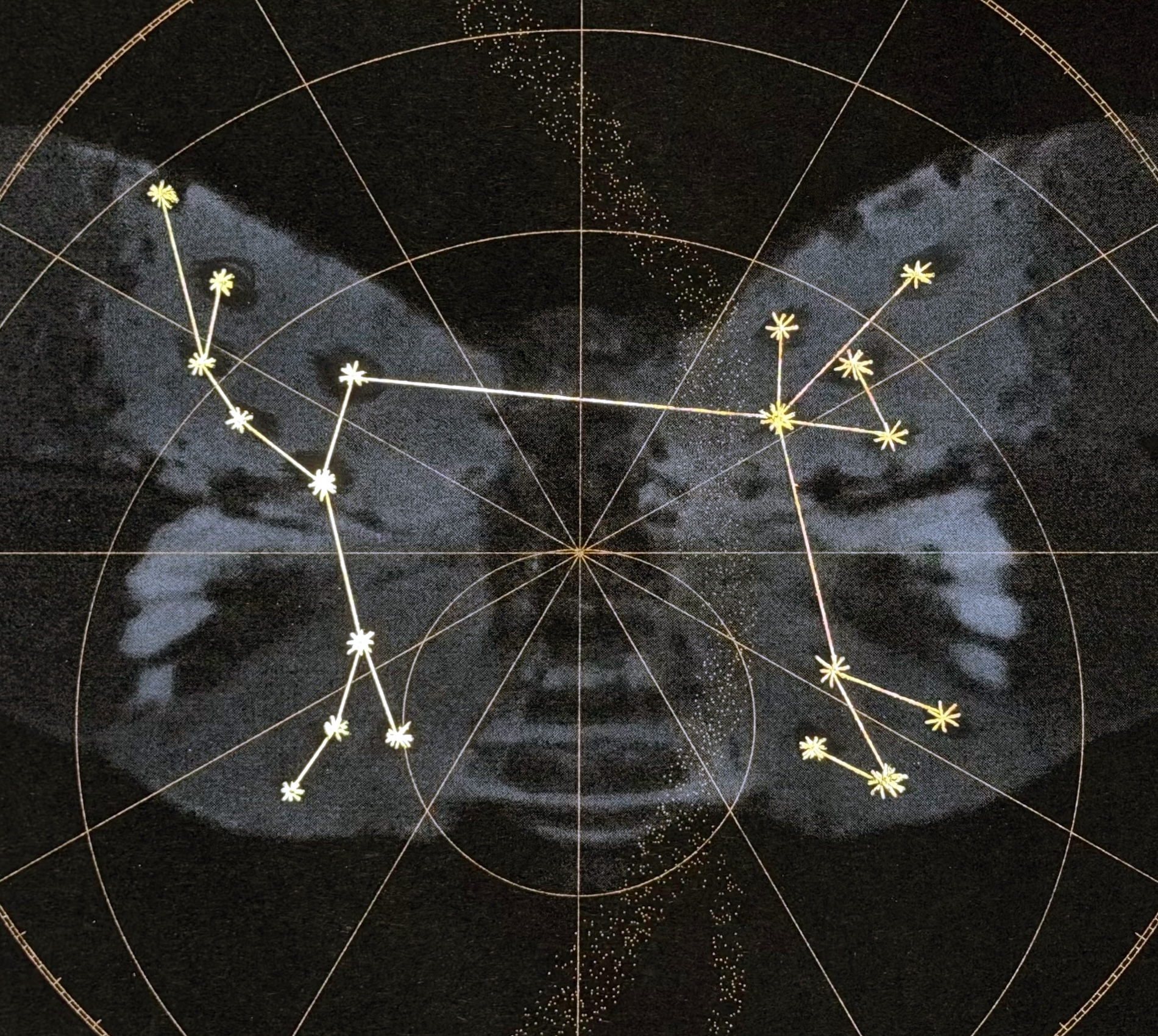 A black and gold print of a spotted lanternfly with constellations overlaid